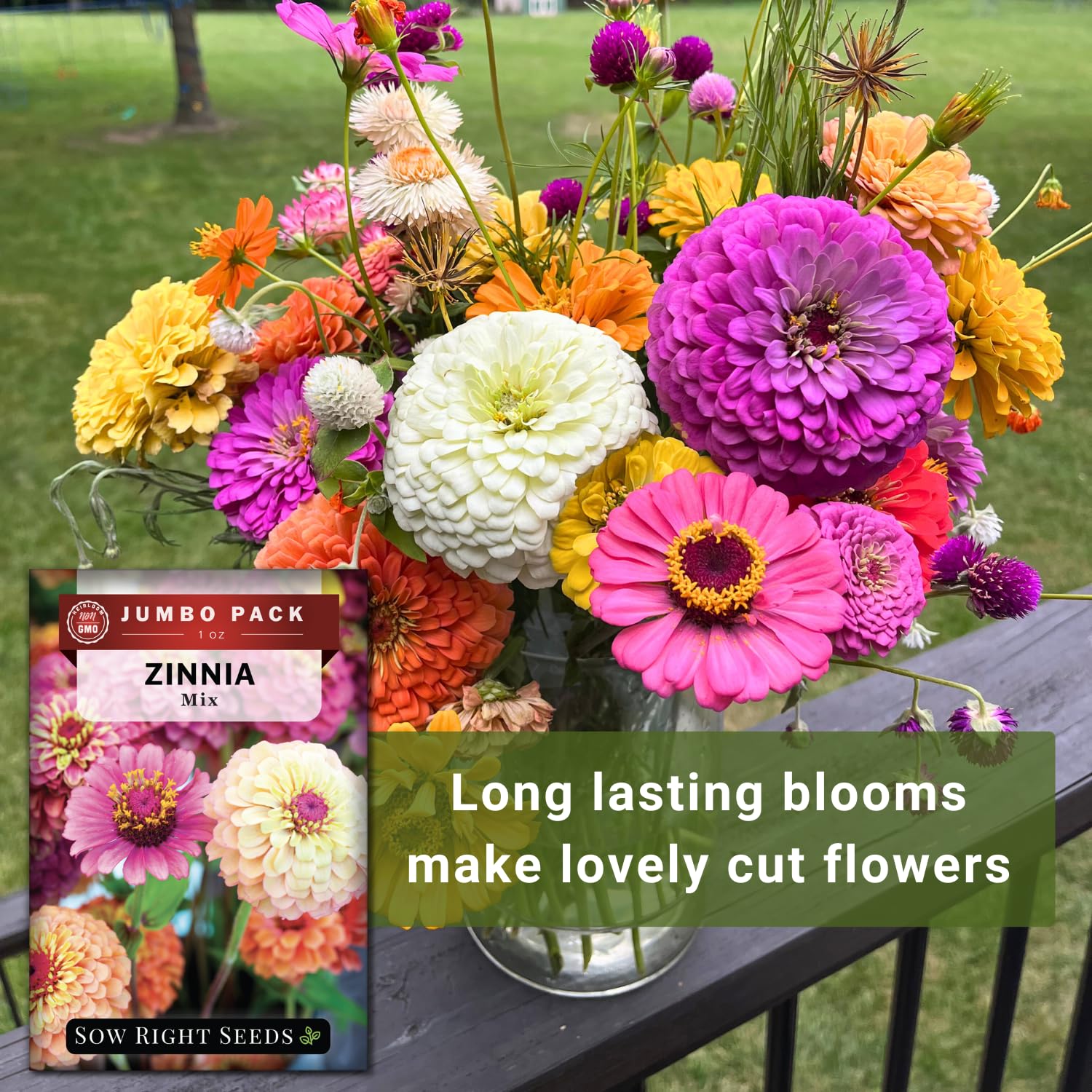 Sow Right Seeds cut-flower ready zinnia blooms provide long-lasting arrangements.