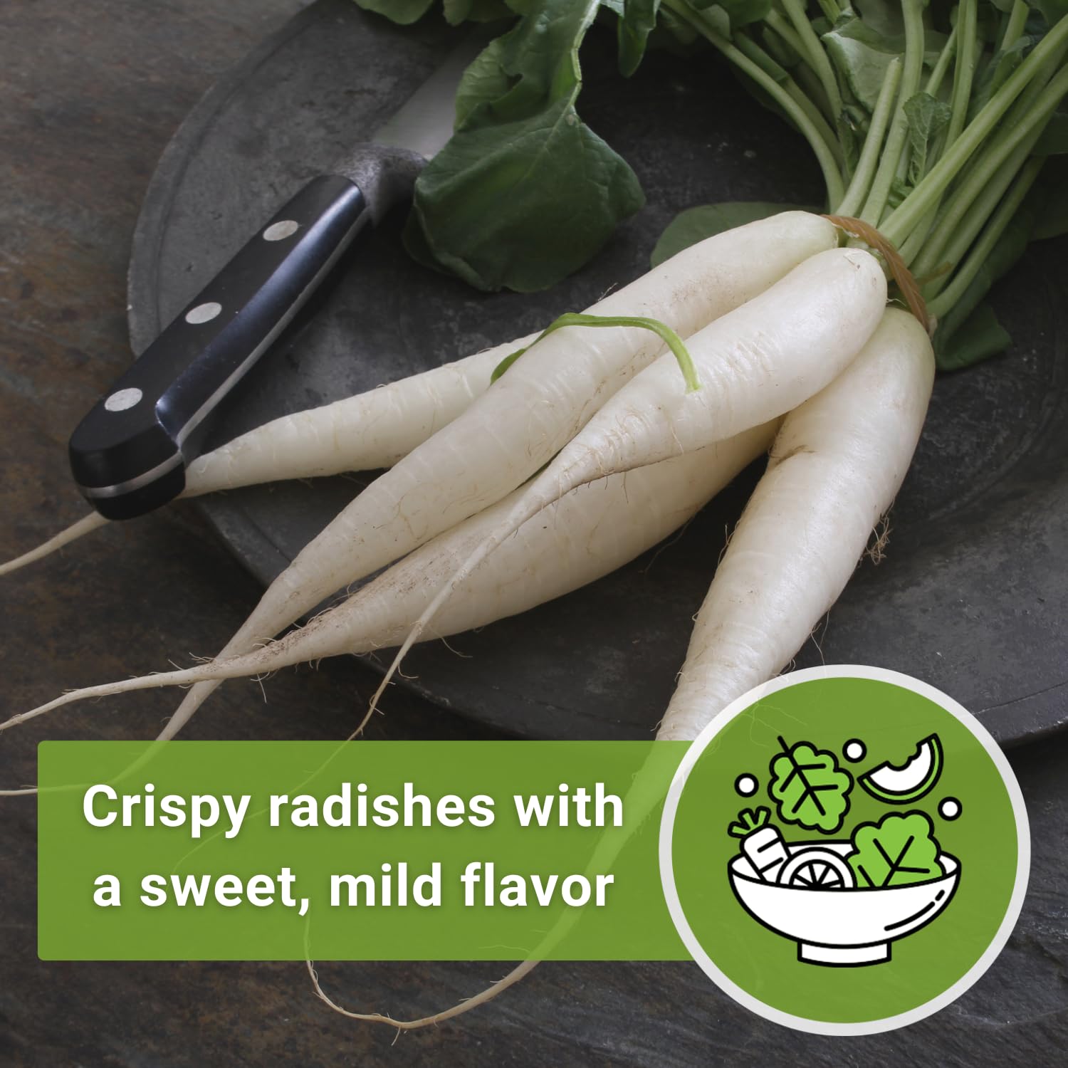Daikon used as cover crop to improve soil aeration and health.