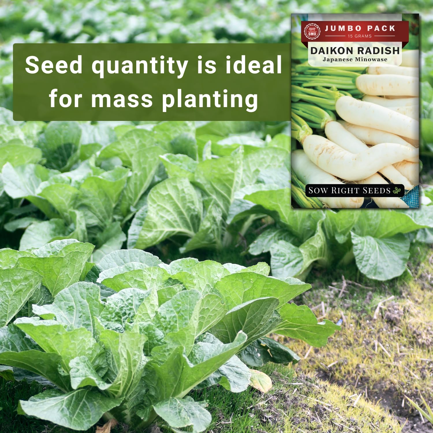 Planting depth guidance for 1/4 inch and 7-10 inch spacing visuals.