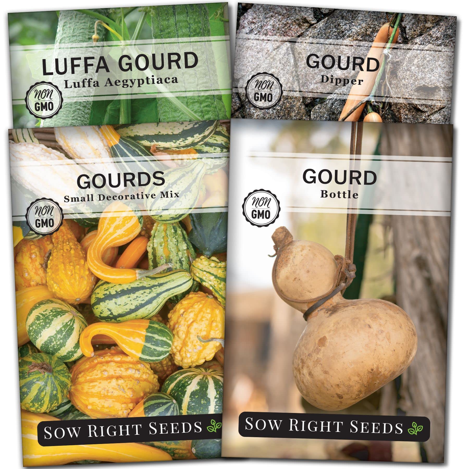 Sow Right Seeds decorative gourds image for vibrant autumn decor and craft-ready projects