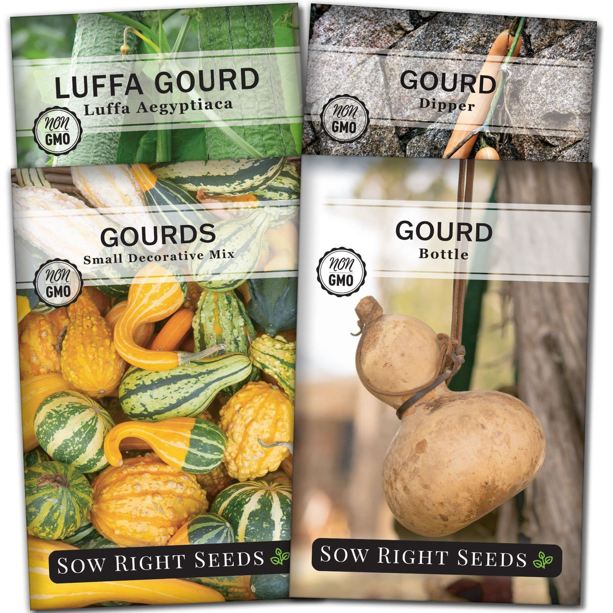 Sow Right Seeds decorative gourds image for vibrant autumn decor and craft-ready projects