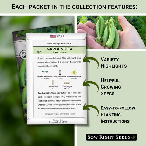 Sow Right Seeds Desiree peas on a trellis for crisp, sweet edible pods.