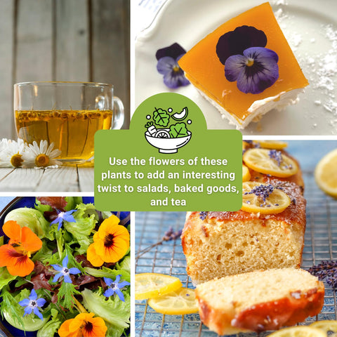 Sow Right Seeds calendula pack – sunny petals for edible garnish and bright soups.