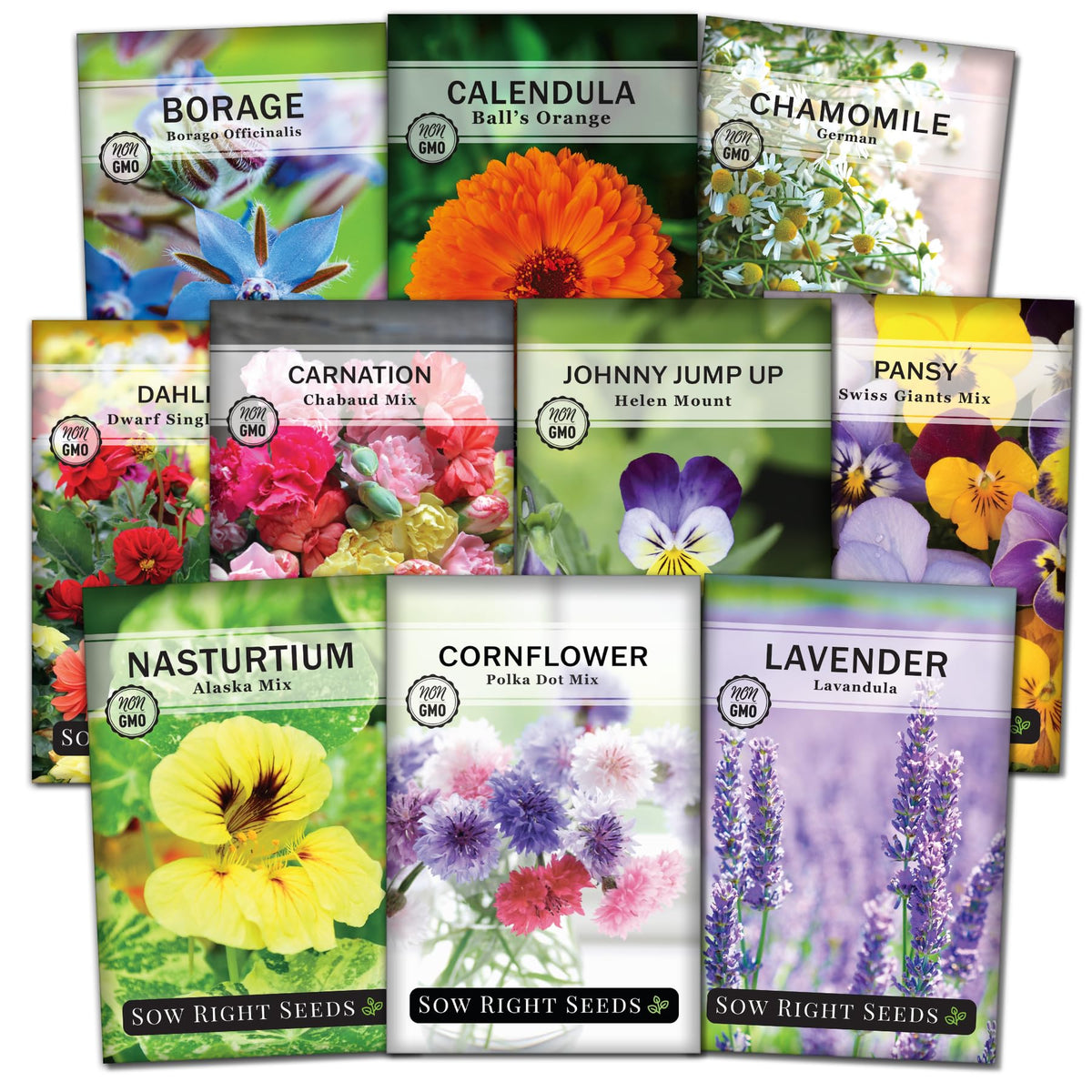 Sow Right Seeds edible nasturtium pack – vibrant blooms brighten salads and plates.