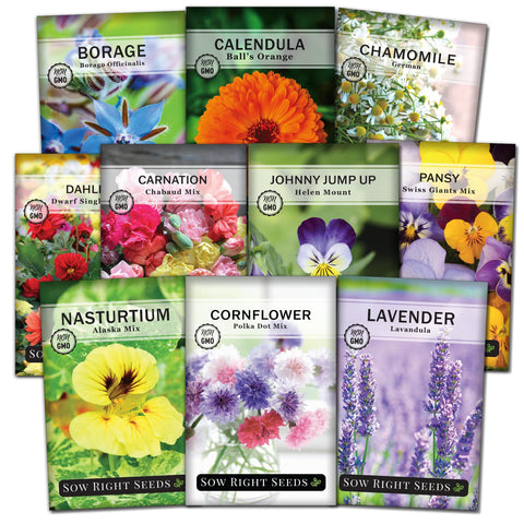 Sow Right Seeds edible nasturtium pack – vibrant blooms brighten salads and plates.