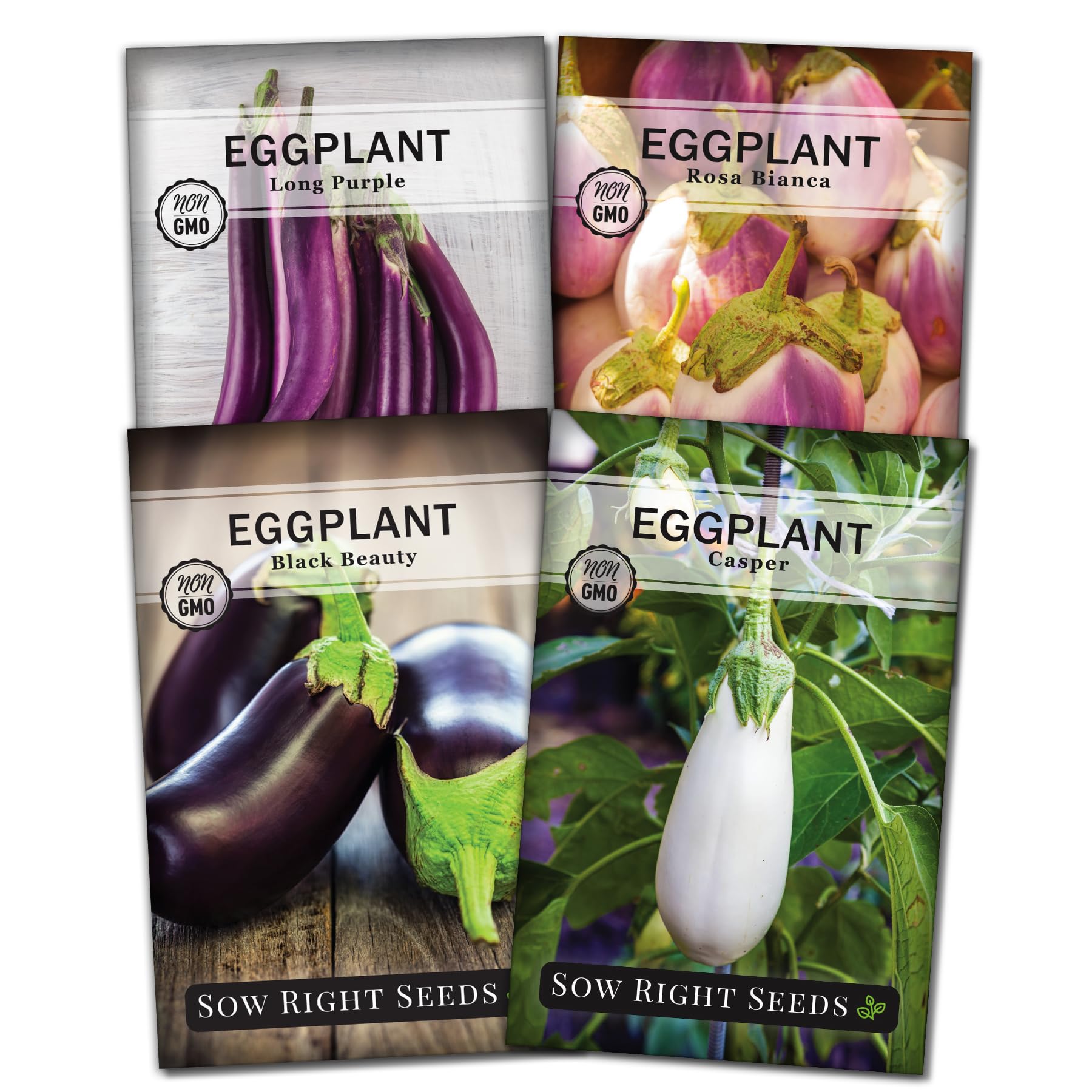Sow Right Seeds Black Beauty eggplant seeds for home gardening.