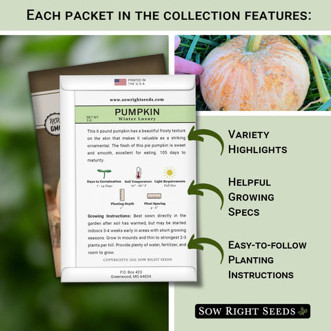 Sow Right Seeds galeux eysines pumpkin seeds ready to plant and grow.