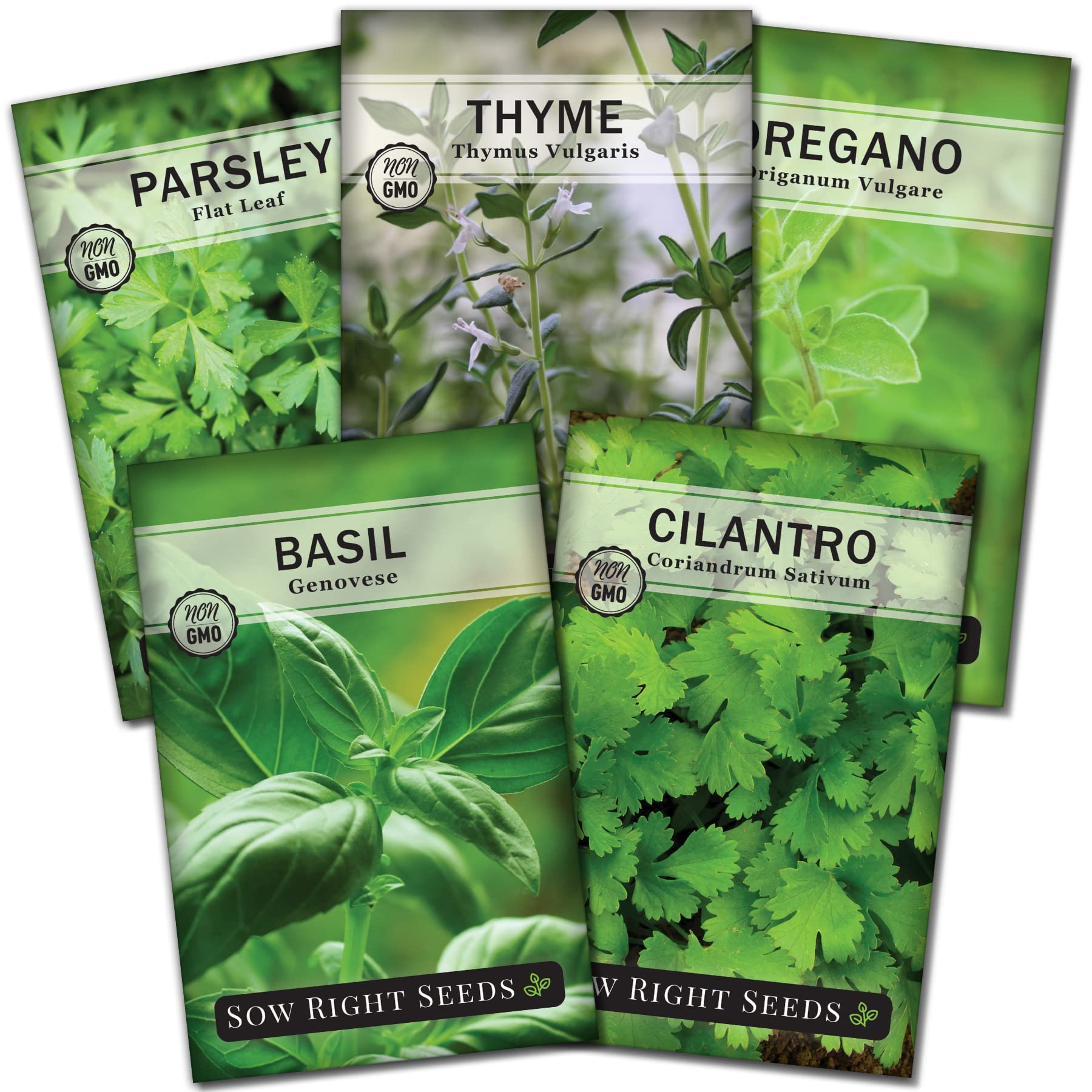 Sow Right Seeds Genovese Basil packet for indoor hydroponics and fragrant pesto.