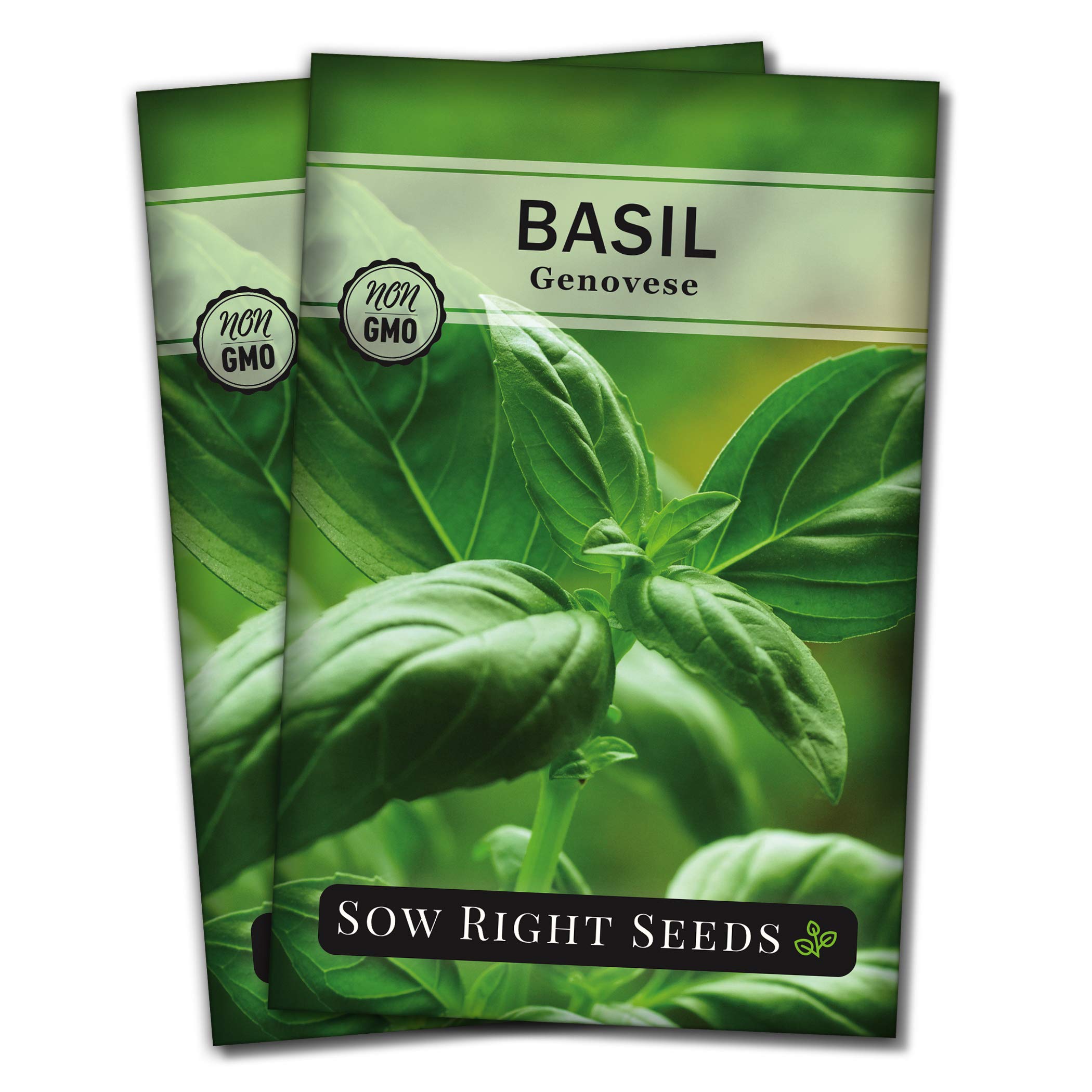 Sow Right Seeds Genovese basil seed packet for kitchen herbs.