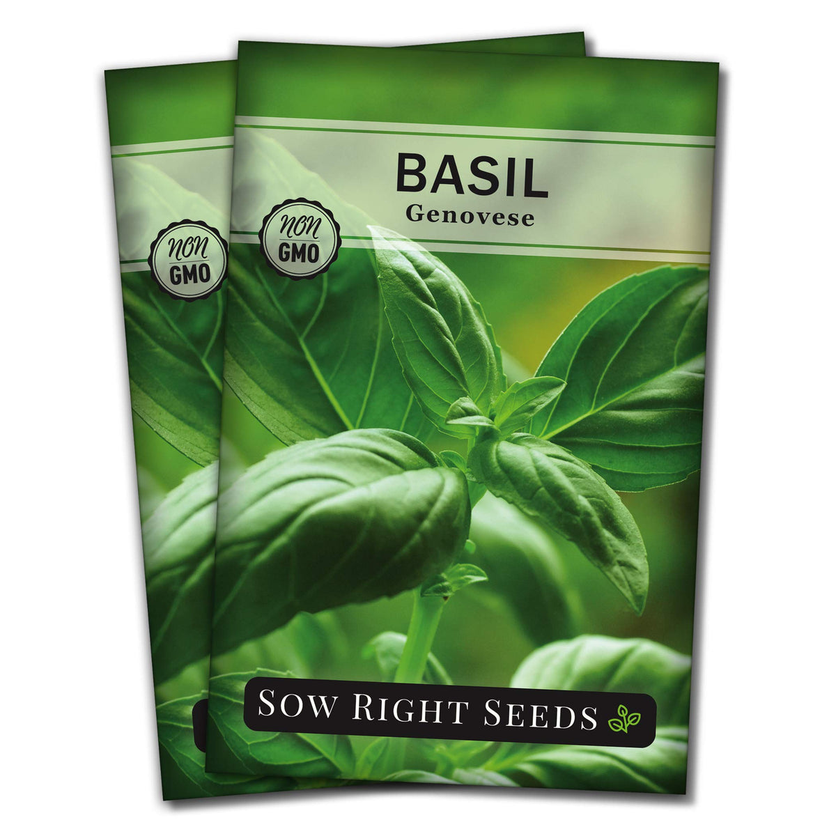 Sow Right Seeds Genovese basil seed packet for kitchen herbs.