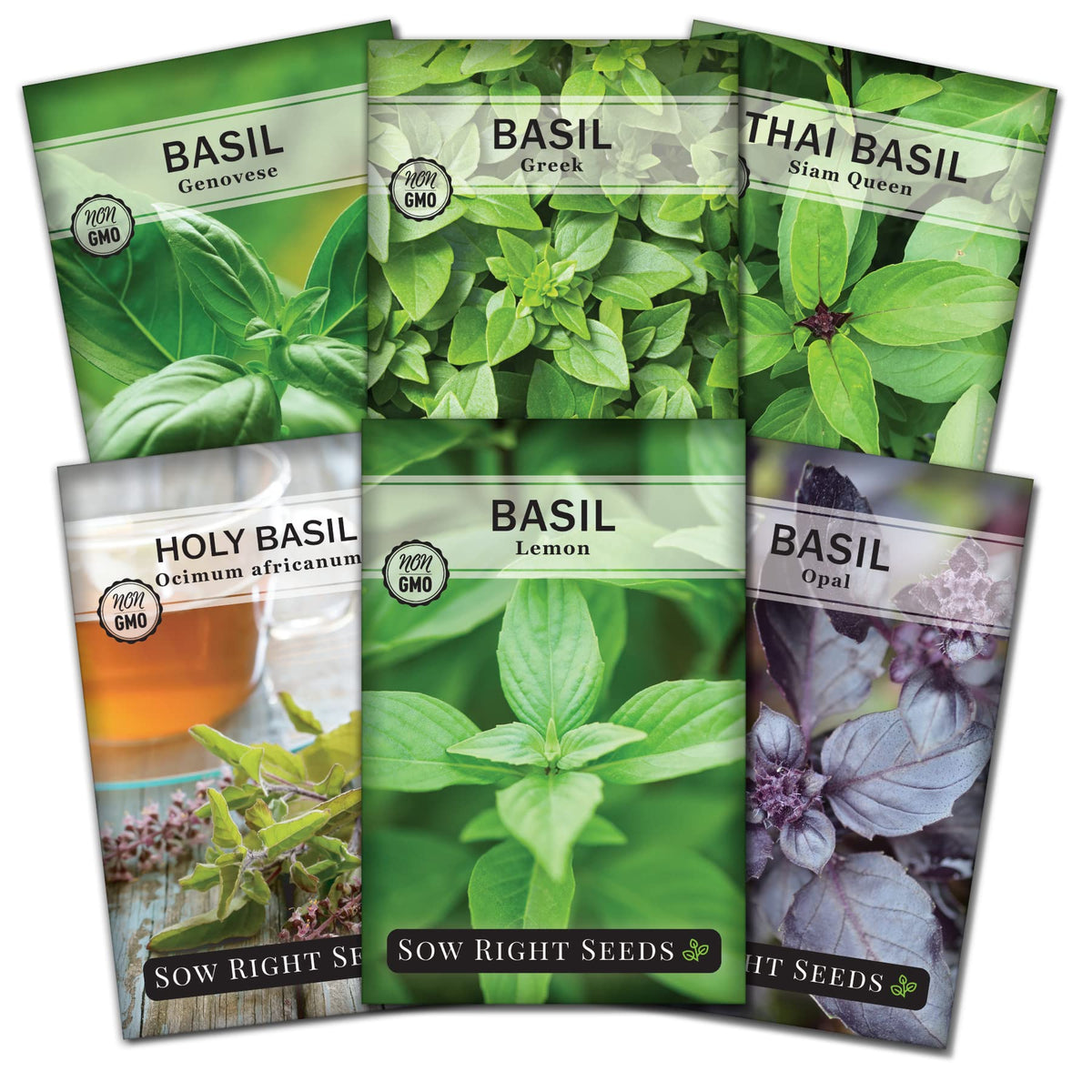 Sow Right Seeds Genovese basil seed packets ready for fresh pesto at home.