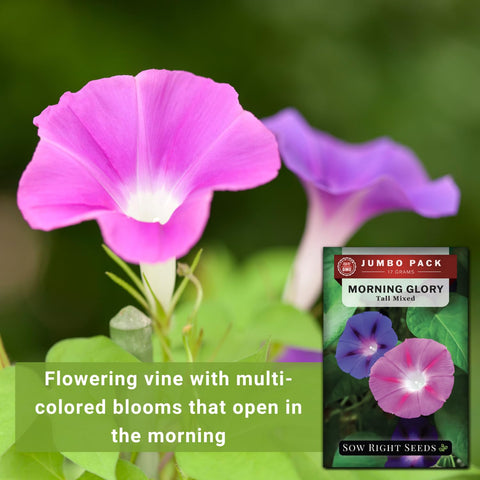Sow Right Seeds germination-friendly mix for fast germination in warm soil.