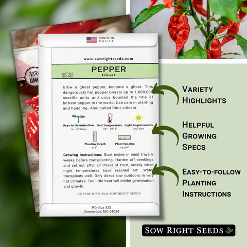 Sow Right Seeds ghost pepper plants in bloom showing vigorous growth