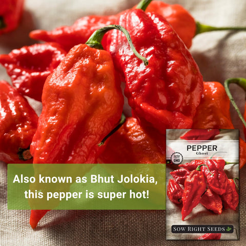 Sow Right Seeds ghost pepper seeds packet label with clear planting instructions