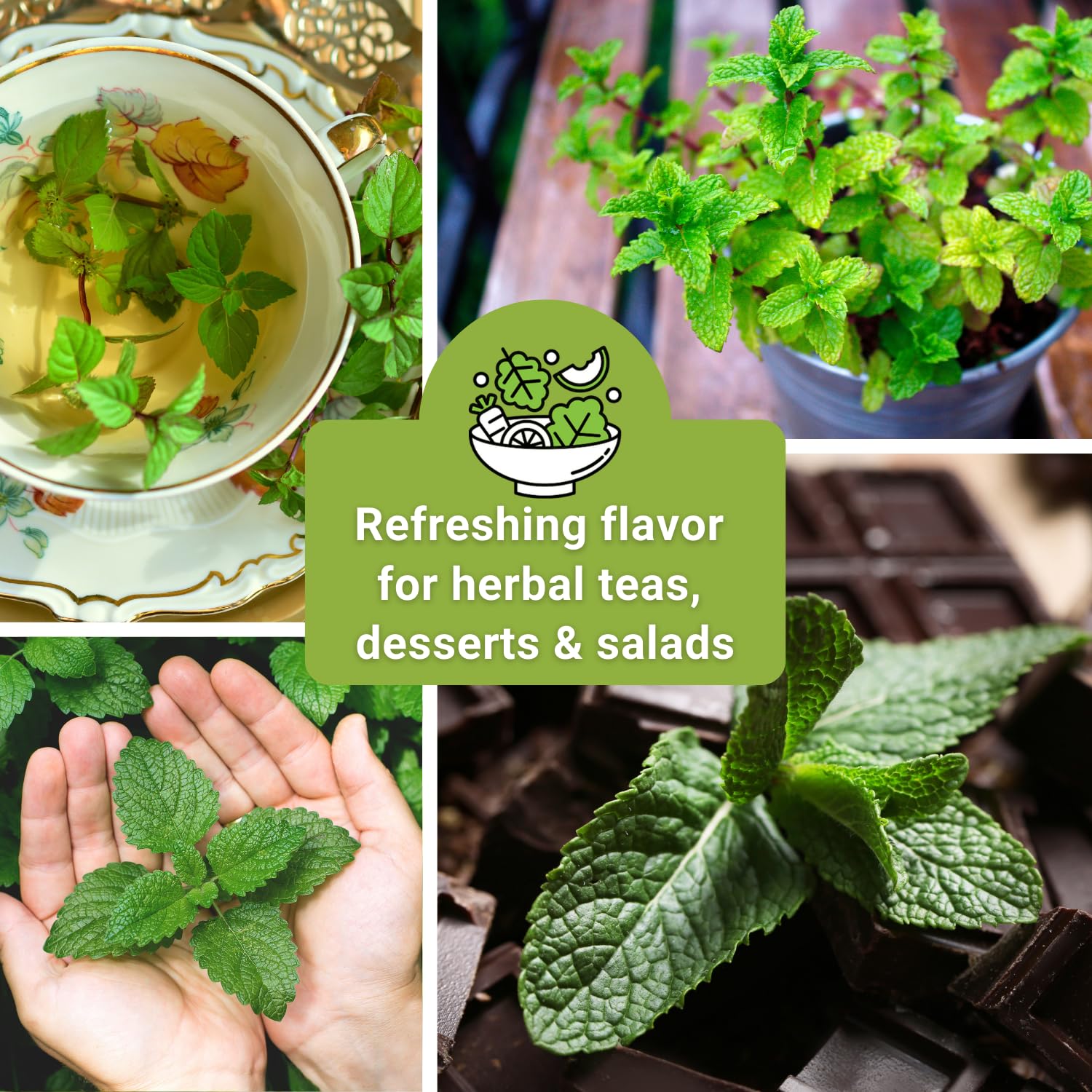 Sow Right Seeds gift-ready mint seeds pack highlights a thoughtful garden gift choice.