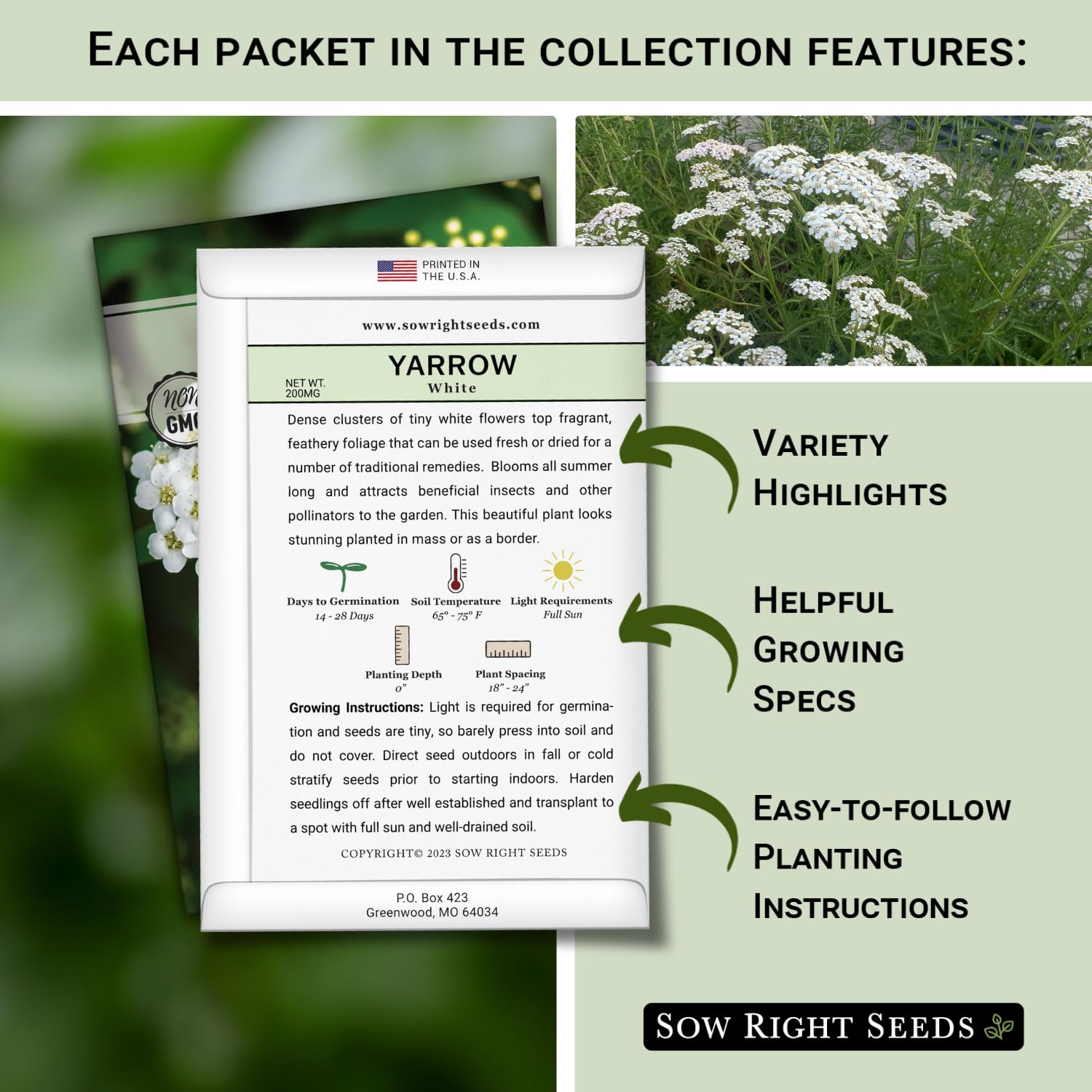 Sow Right Seeds gold yarrow seeds bring bright blooms to sunny garden borders