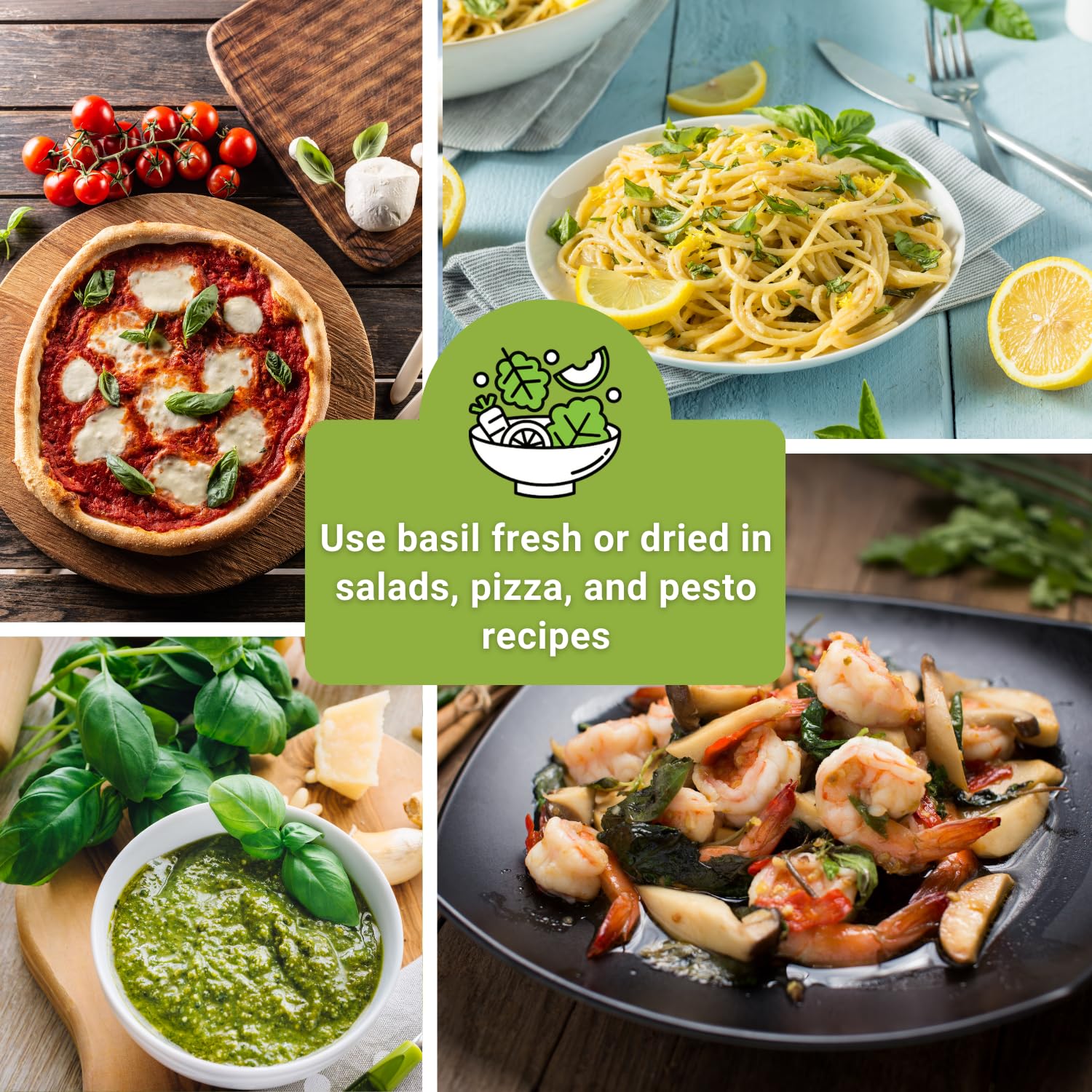 Sow Right Seeds Greek basil seed packets for versatile Mediterranean flavors in a home garden.