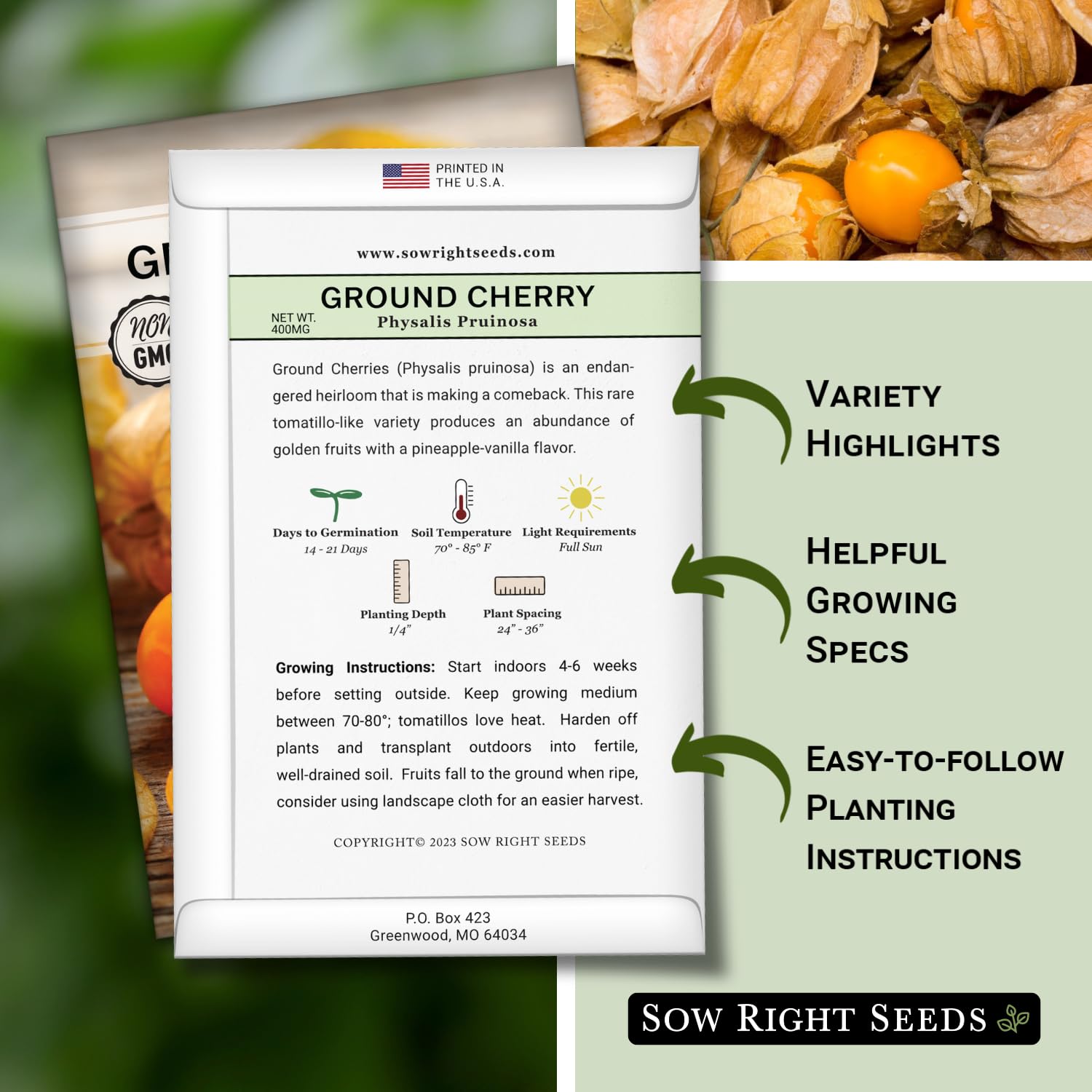 Sow Right Seeds Ground Cherries fruits harvest in basket for snacking.