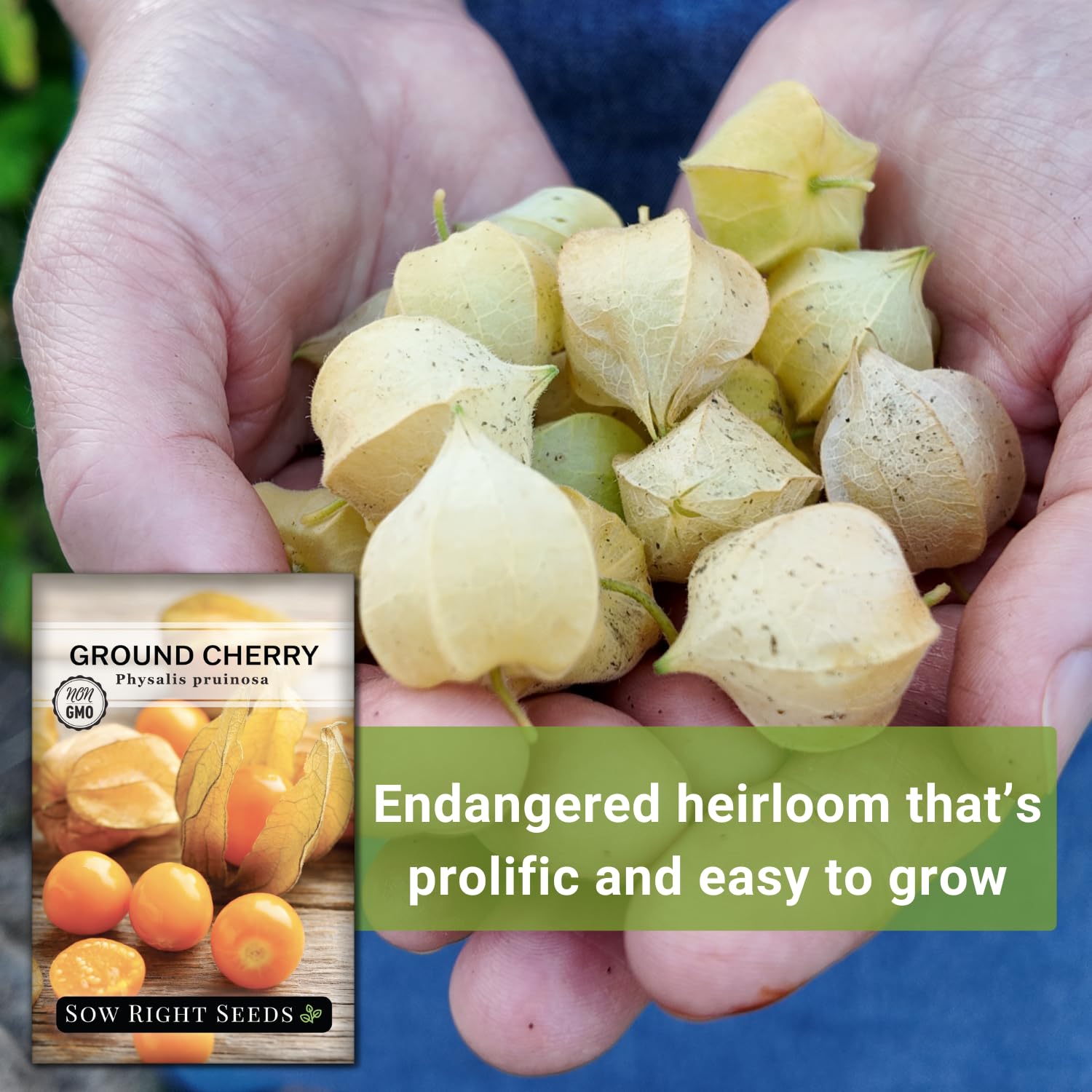 Sow Right Seeds Ground Cherries seeds planted at 1/4 inch depth recommended.