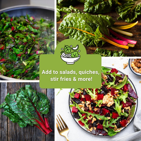 Sow Right Seeds guide to growing leafy greens indoors or outdoors