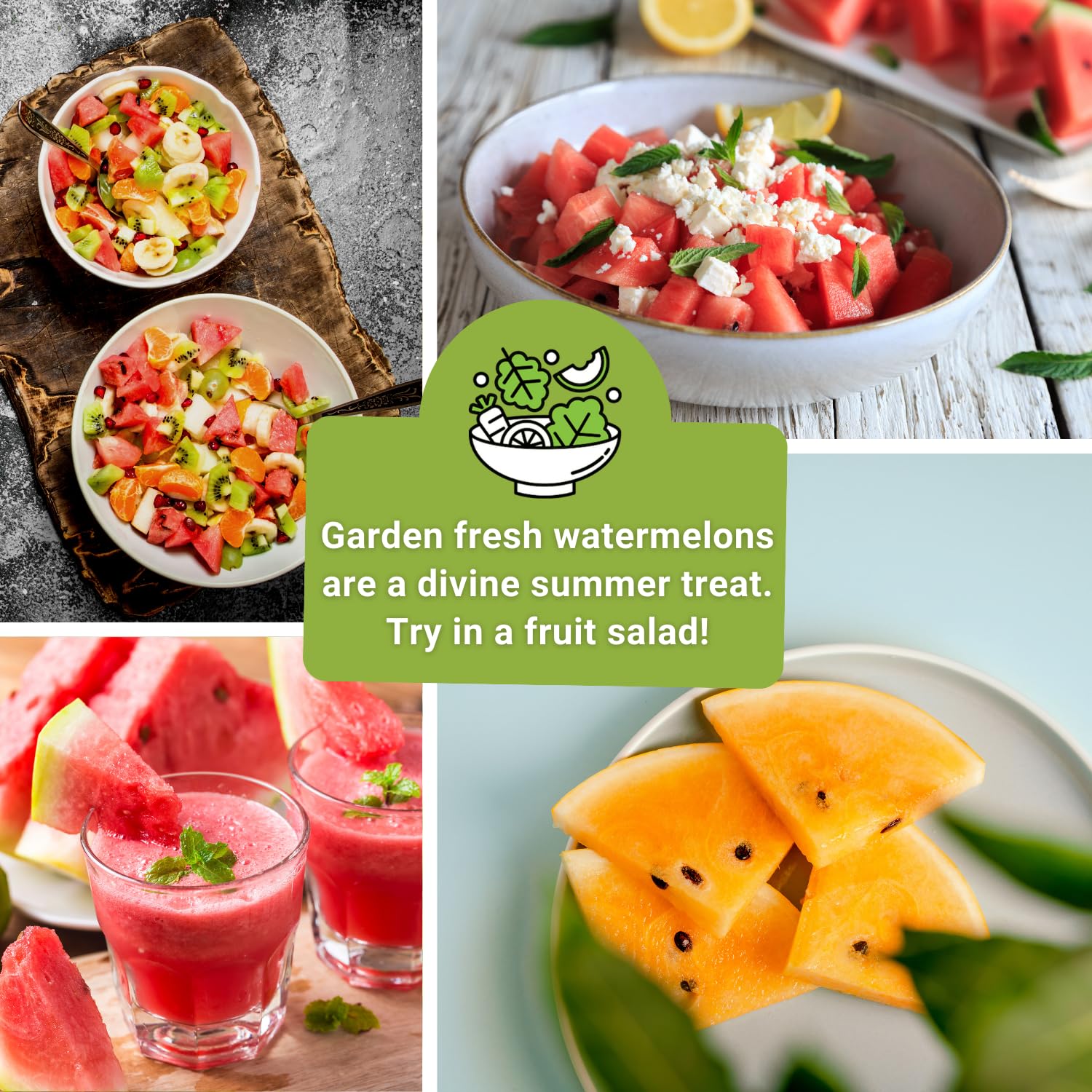 Sow Right Seeds harvest-ready watermelons on a sunny garden bench
