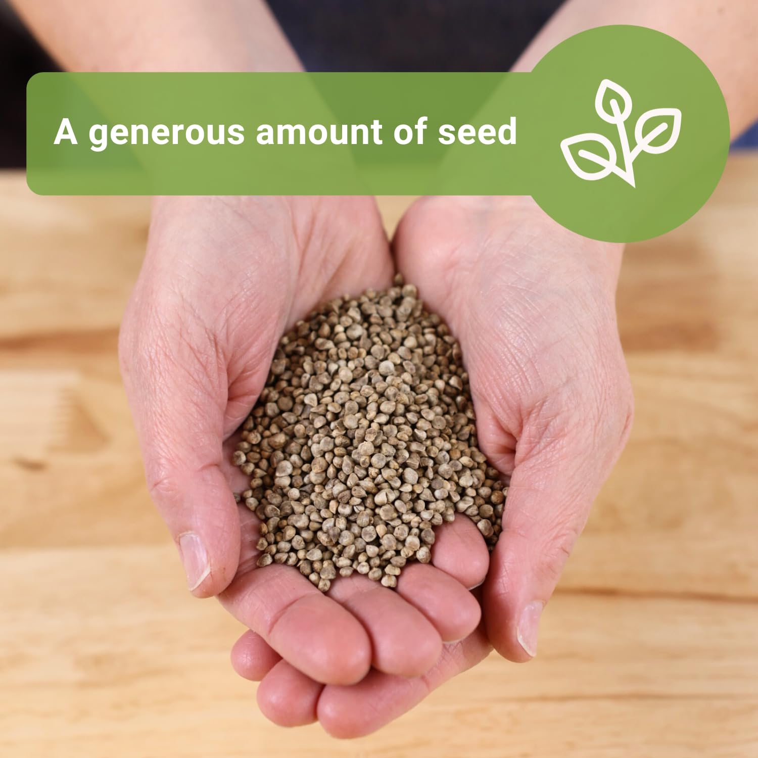 Sow Right Seeds heirloom spinach leaves harvest ready for fresh meals.