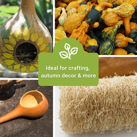 Sow Right Seeds home decor gourds image showing mantels, displays, and seasonal accents