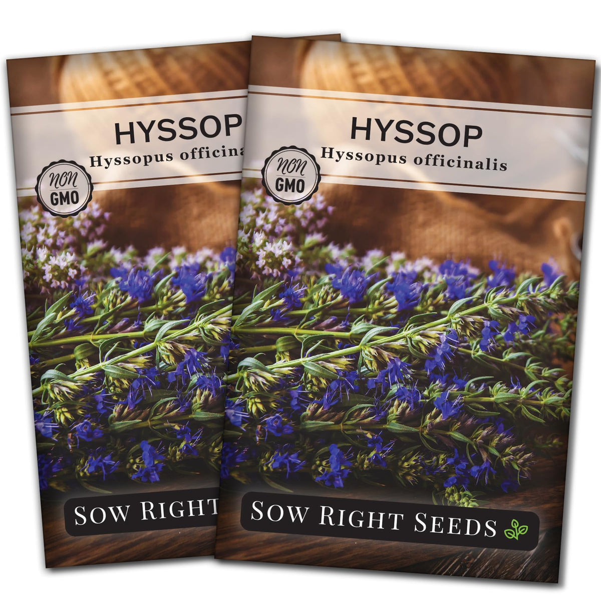 Sow Right Seeds hyssop seed packet ready to plant for fragrant tea and cooking.