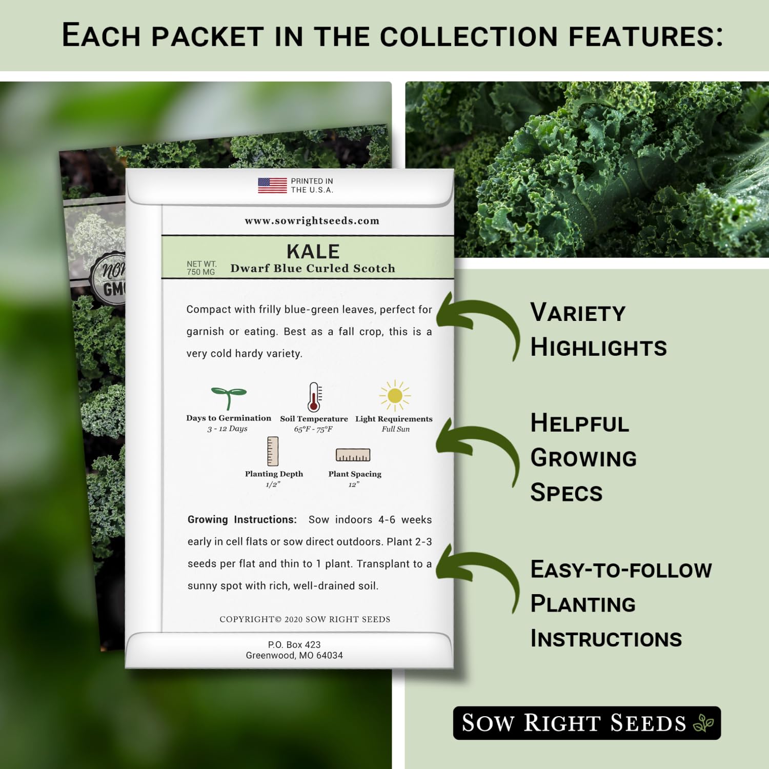 Sow Right Seeds Improved Dwarf Siberian kale seeds—productive outdoors or indoors with light.