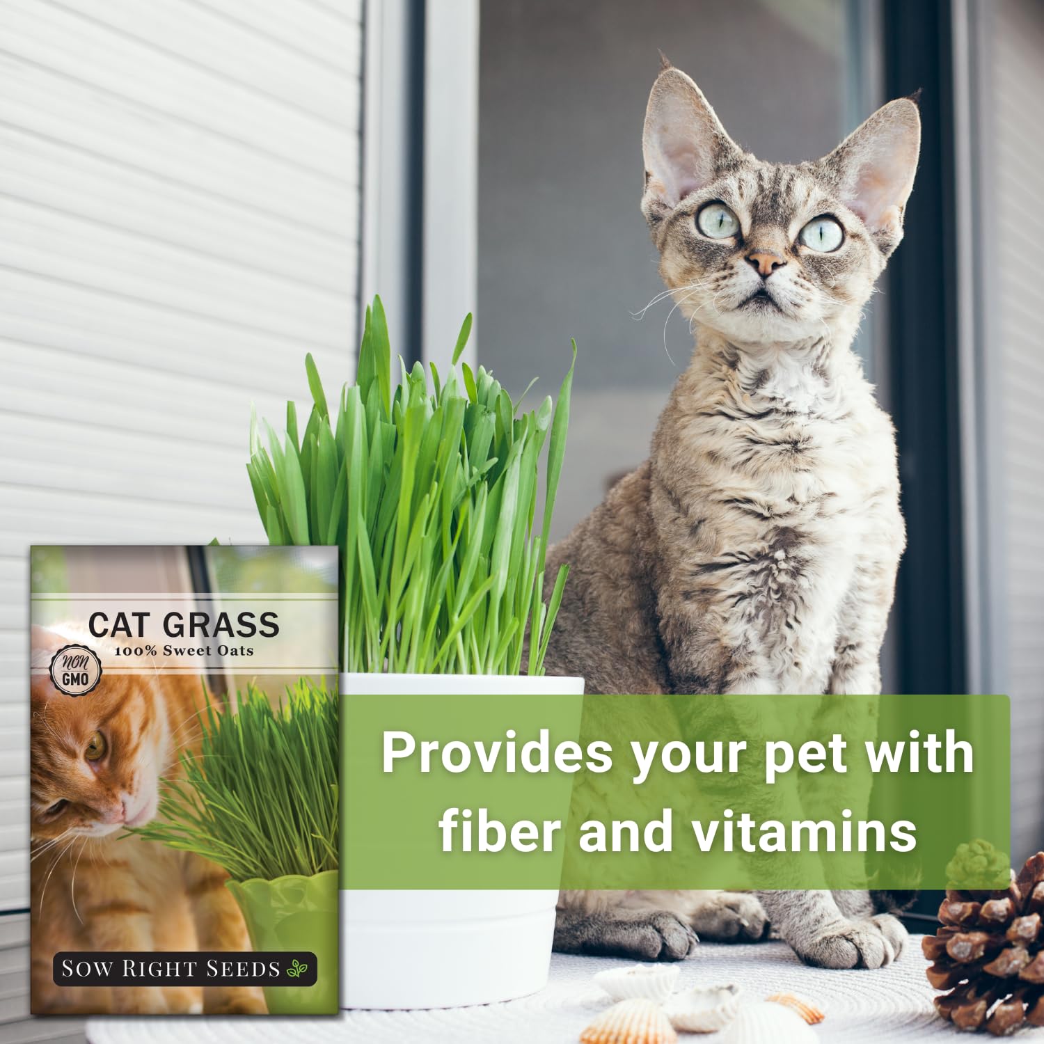 Sow Right Seeds indoor cat grass provides healthy greens for pets.