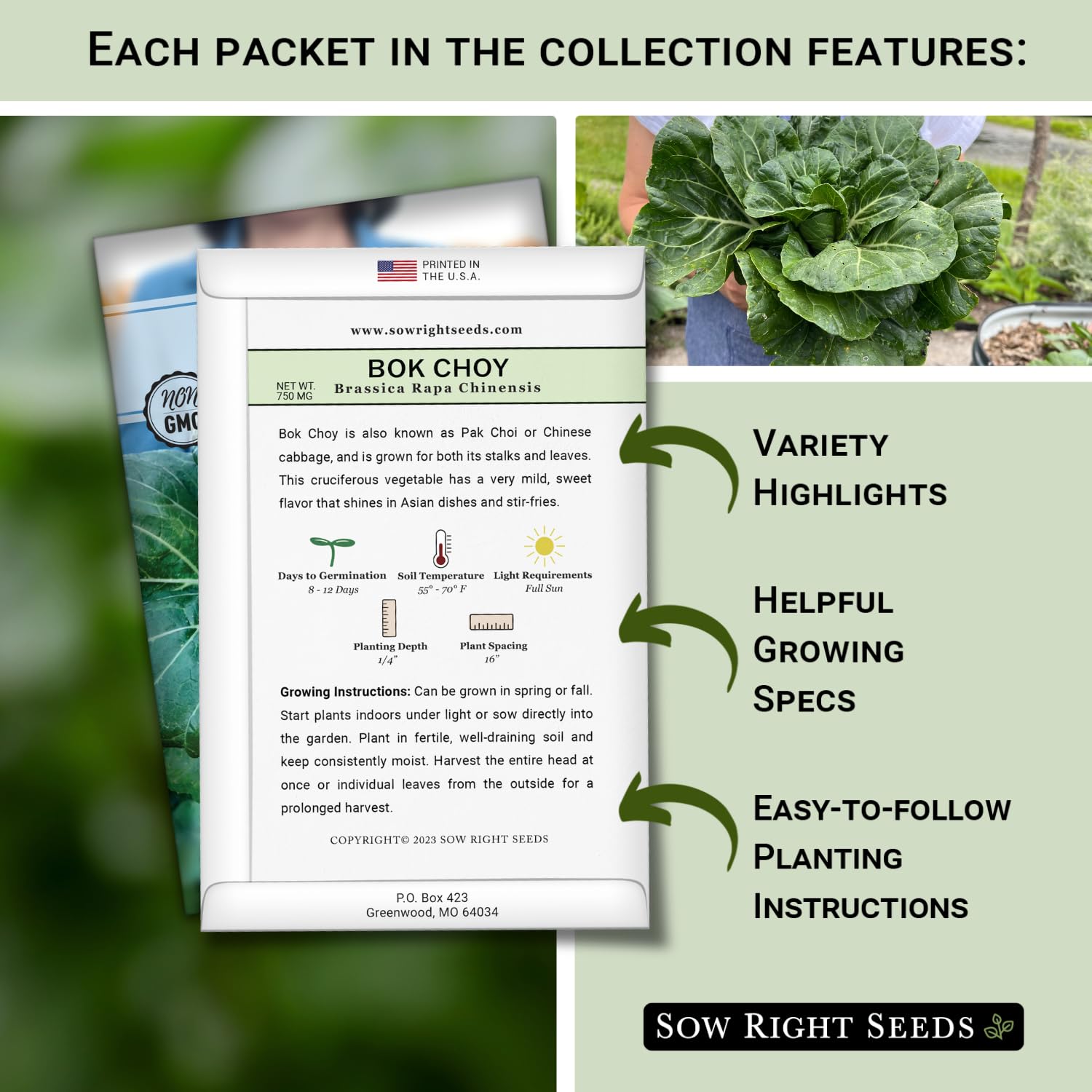 Sow Right Seeds kale hydroponics; vibrant leaves for fresh salads.