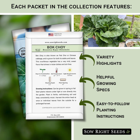 Sow Right Seeds kale hydroponics; vibrant leaves for fresh salads.
