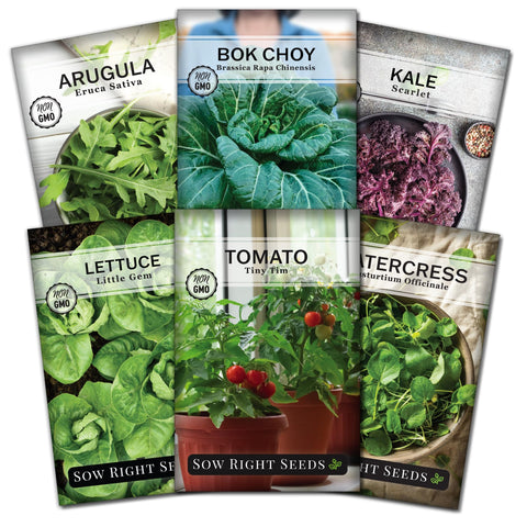 Sow Right Seeds lettuce hydroponics; compact indoor greens with quick harvests.