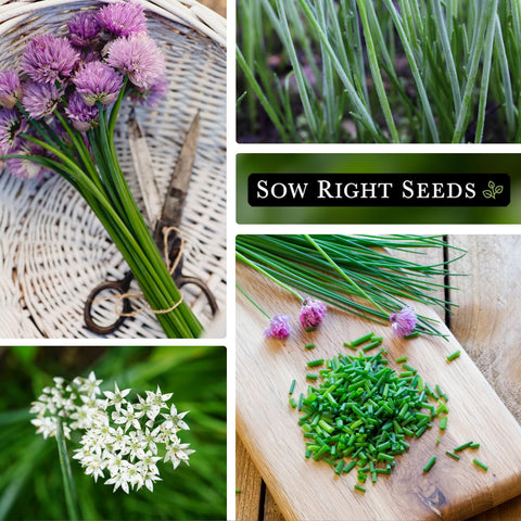 Sow Right Seeds indoor-outdoor growing guide image for easy home cultivation.