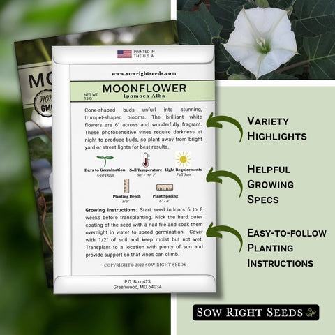 Sow Right Seeds ipomoea alba moonflower vine growing along a trellis, with white blooms