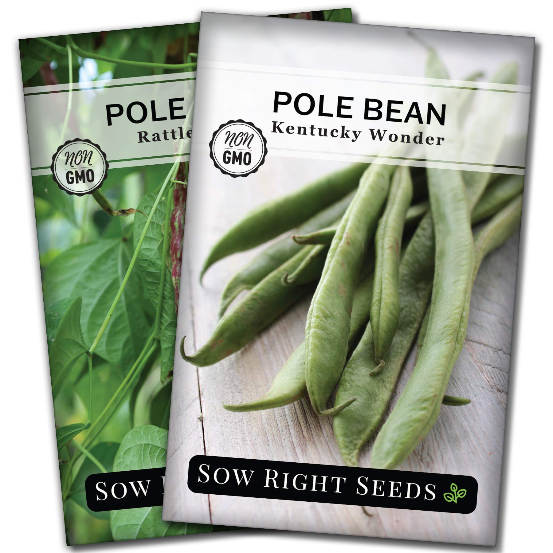 Sow Right Seeds Kentucky Wonder pole bean packet on trellis for home garden growth