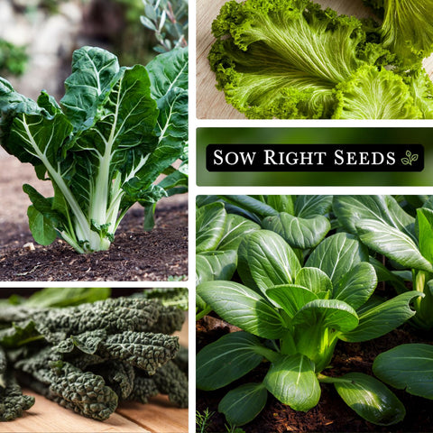 Sow Right Seeds lacinato kale leaves for hearty sautés and plant-forward meals