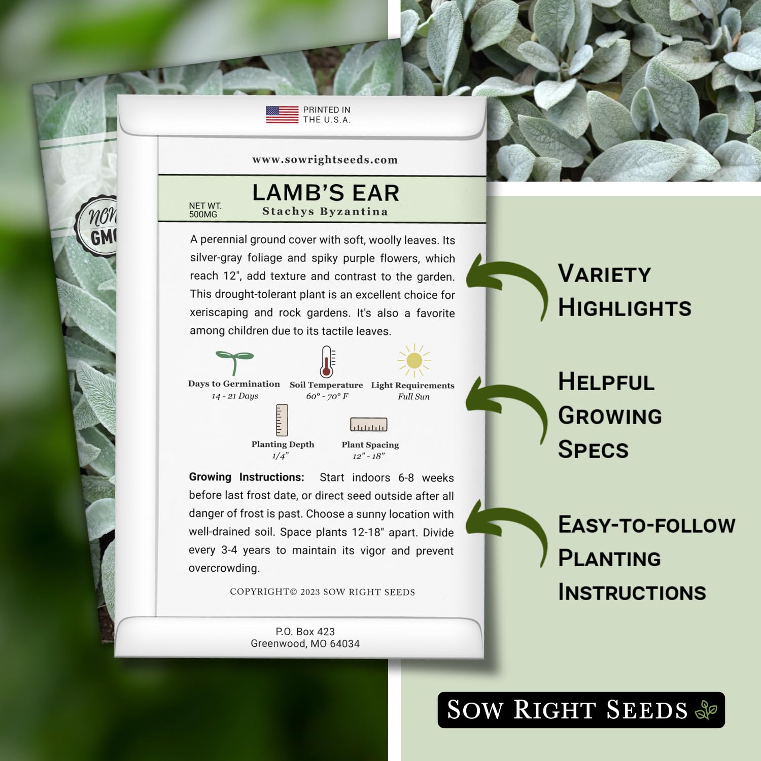 Sow Right Seeds Lambs Ear germination timing illustration highlighting sprouting window.