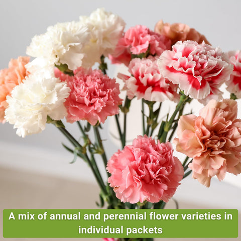 Sow Right Seeds Calendula Pacific Beauty Mixed—soft edible petals for garden borders.