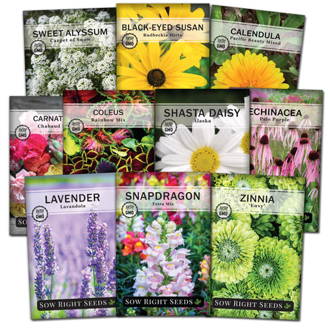 Sow Right Seeds Coleus Rainbow Mix—vibrant foliage for colorful borders.