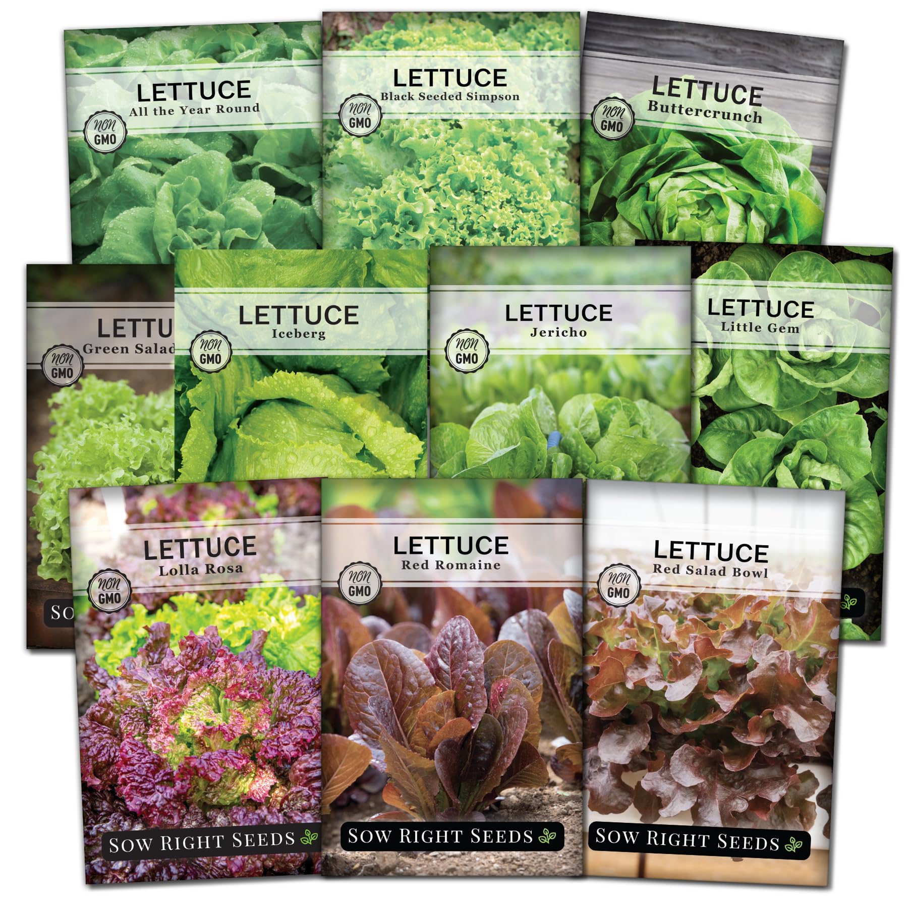 Sow Right Seeds buttercrunch lettuce seed packet for home-grown crisp salads.