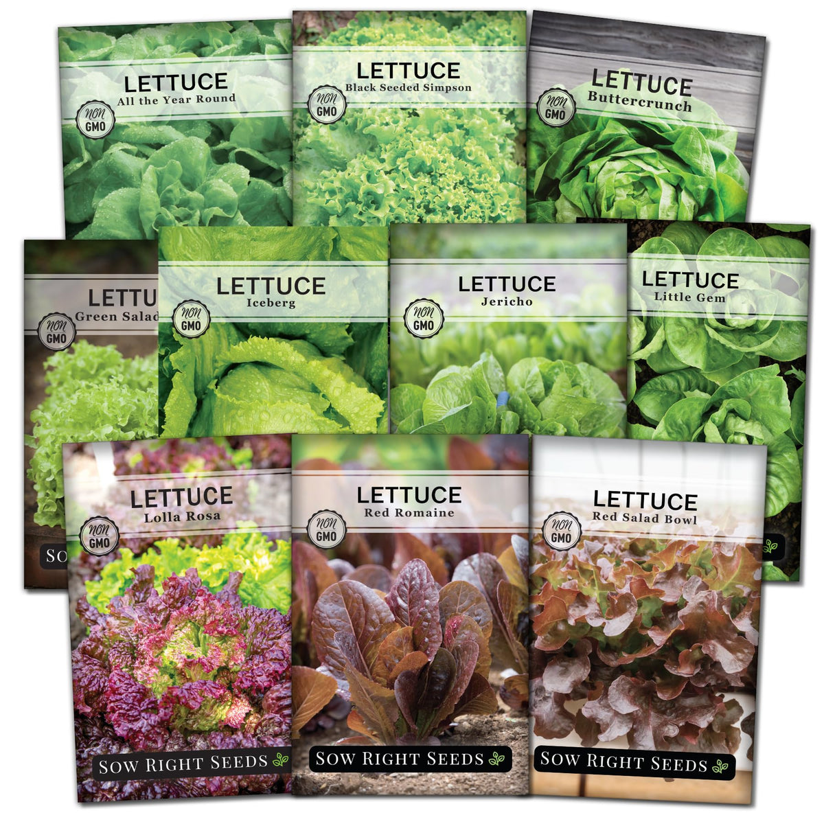 Sow Right Seeds buttercrunch lettuce seed packet for home-grown crisp salads.