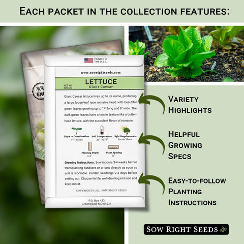 Sow Right Seeds jericho lettuce seeds for versatile outdoor or indoor harvest.