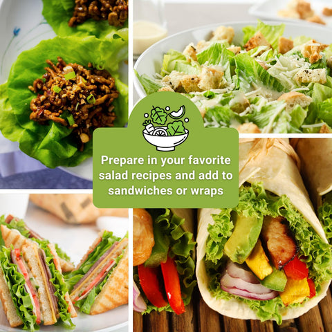 Sow Right Seeds lolla rosa lettuce seeds for vibrant garden mix.