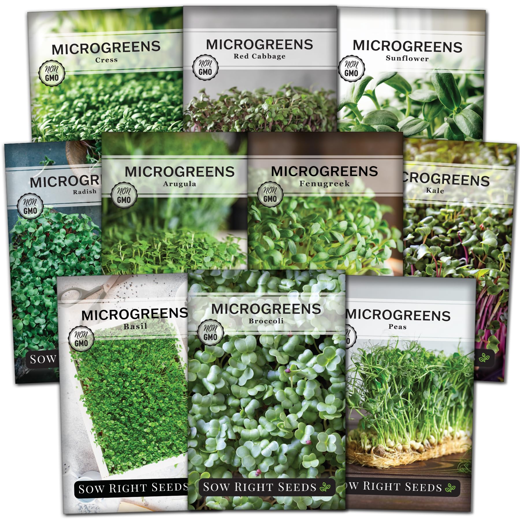 Sow Right Seeds large microgreens collection pack displayed on a kitchen counter for easy indoor sprouting.
