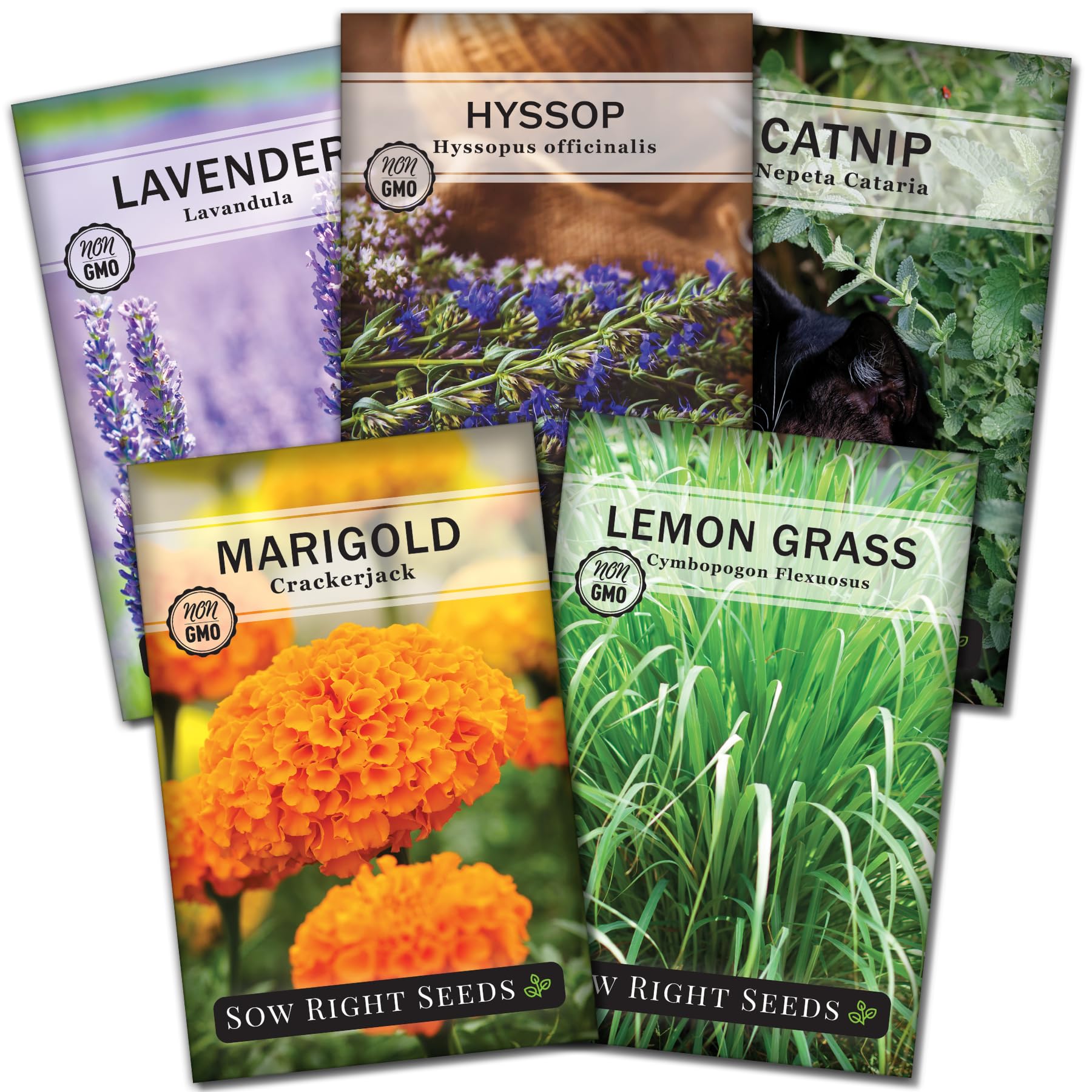 Sow Right Seeds Lavender packet deters insects while adding fragrance to the garden