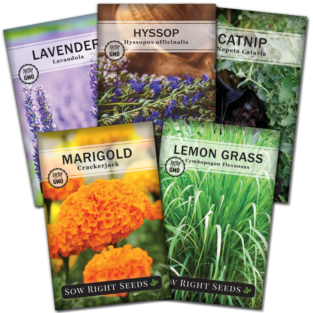 Sow Right Seeds Lavender packet deters insects while adding fragrance to the garden