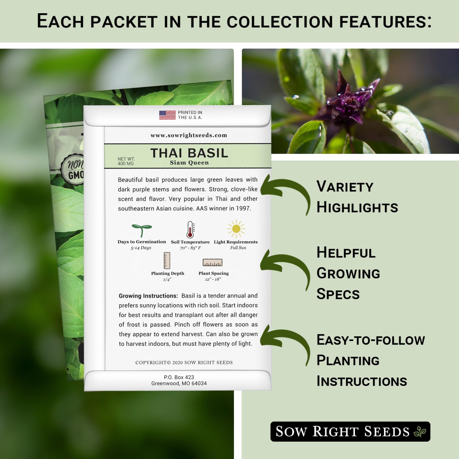 Sow Right Seeds Lemon basil seed packets with bright lemon aroma for kitchen gardens.