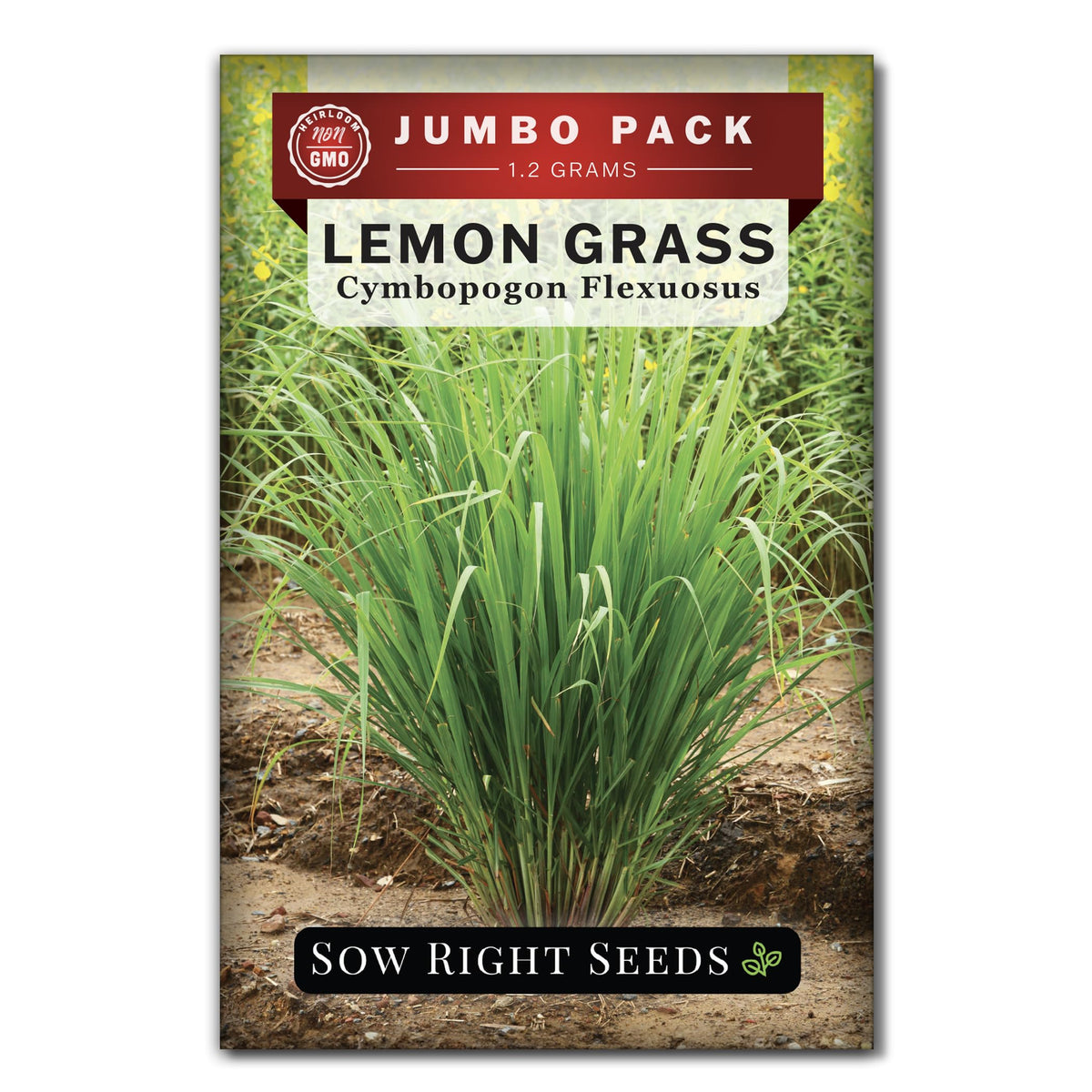 Sow Right Seeds Lemon Grass bulk pack seeds for versatile indoor and outdoor growing.
