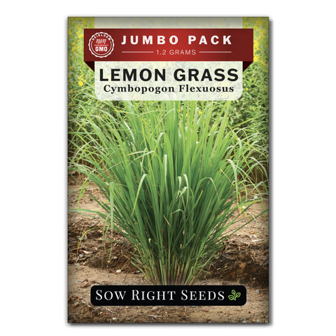 Sow Right Seeds Lemon Grass bulk pack seeds for versatile indoor and outdoor growing.